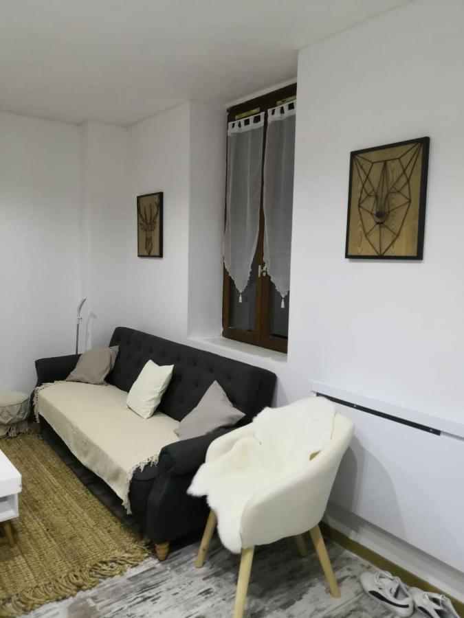 Studio Zen Et Cosy, Neuf En Pleine Ville Saint-Claude Luaran gambar